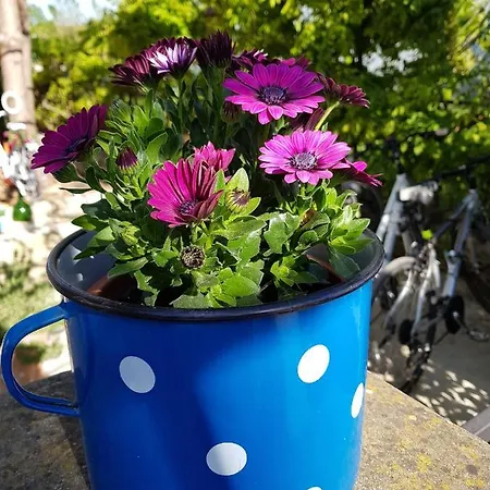 Casa Nostra * Funtana